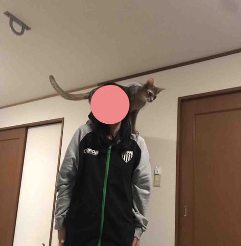 FullSizeRender