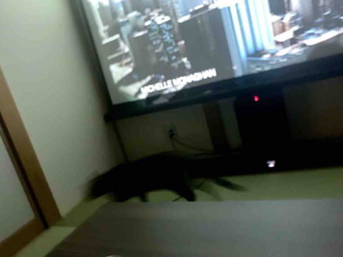 FullSizeRender