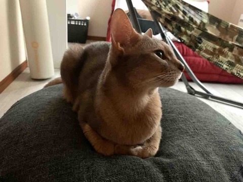 FullSizeRender