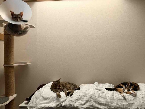 FullSizeRender