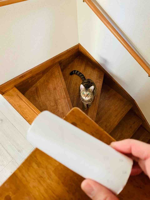 FullSizeRender