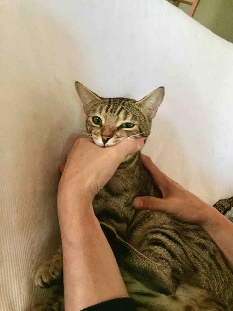 FullSizeRender