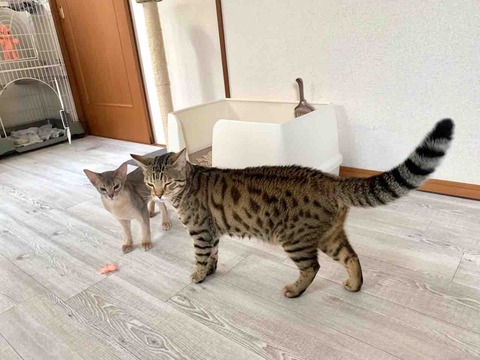 FullSizeRender