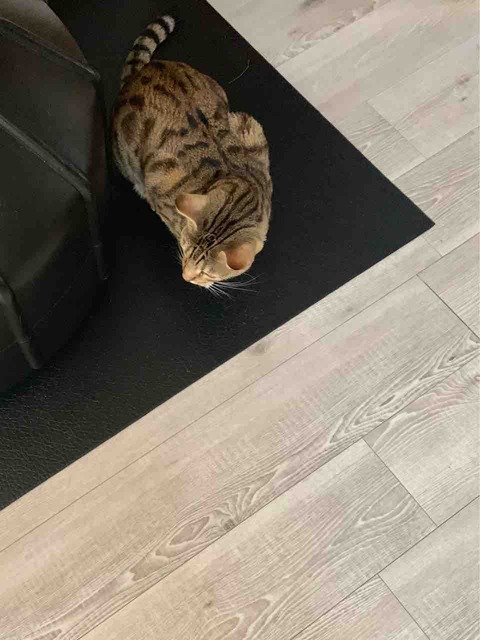 FullSizeRender