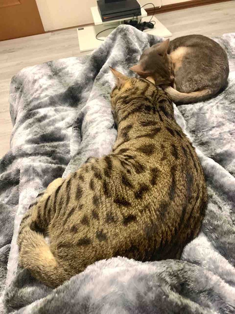 FullSizeRender
