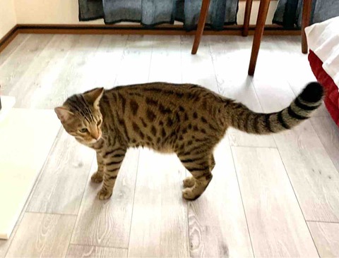FullSizeRender
