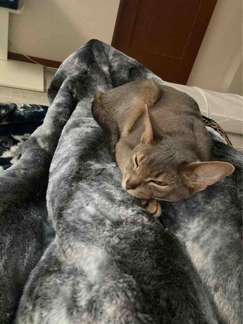 FullSizeRender