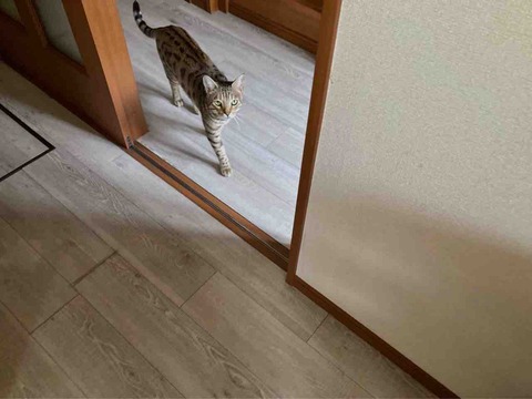 FullSizeRender