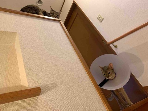 FullSizeRender