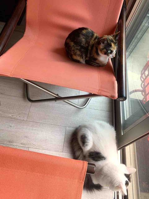 FullSizeRender