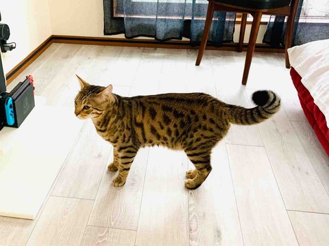 FullSizeRender