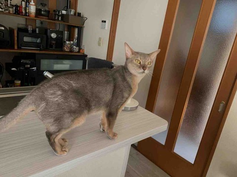 FullSizeRender