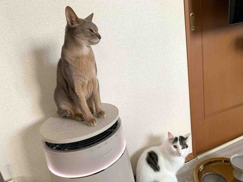 FullSizeRender
