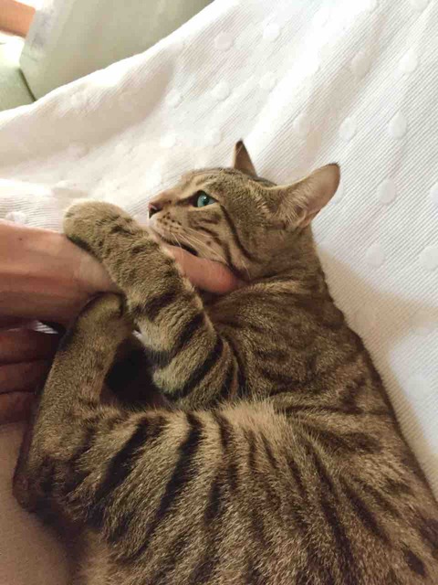FullSizeRender