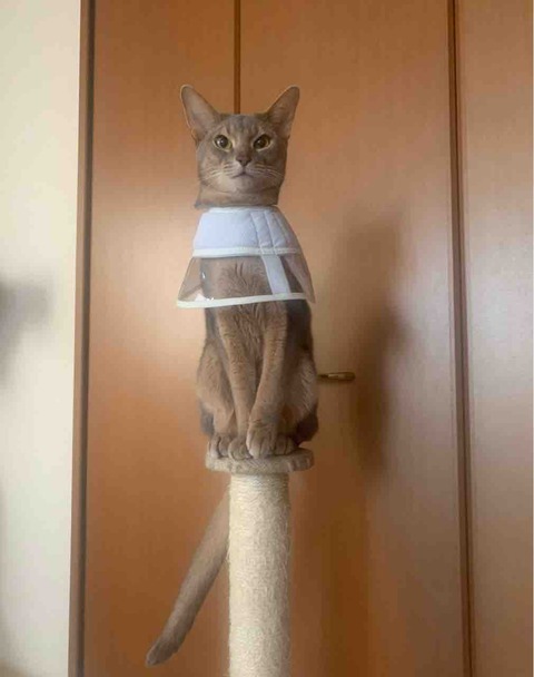 FullSizeRender