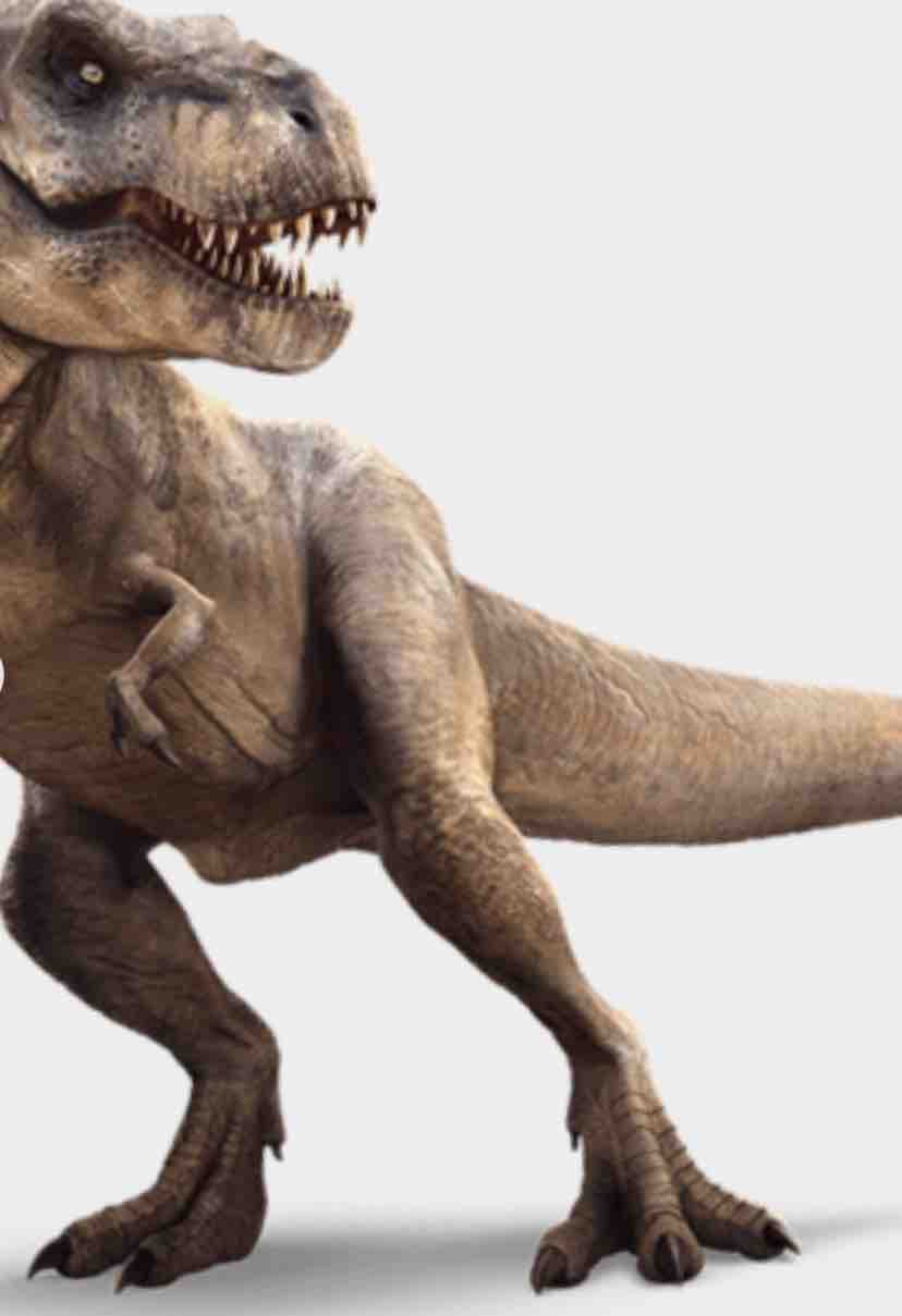 恐竜の足 ベンガル猫のbenelliとアビシニアンのbenjaminと家族の記録