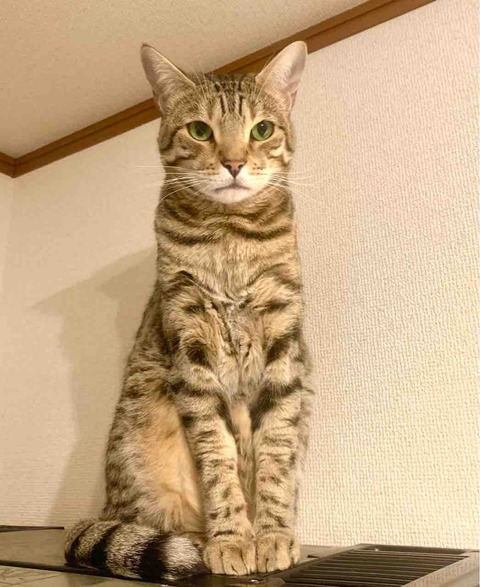 FullSizeRender