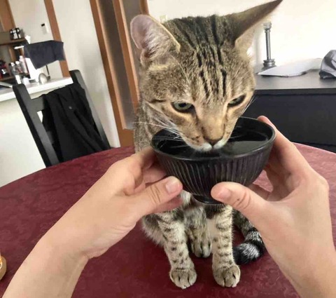 FullSizeRender