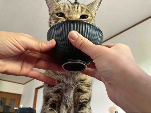 FullSizeRender