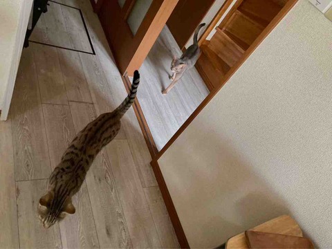 FullSizeRender