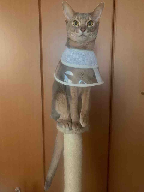 FullSizeRender