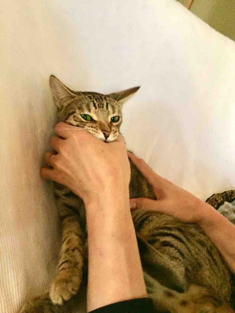 FullSizeRender