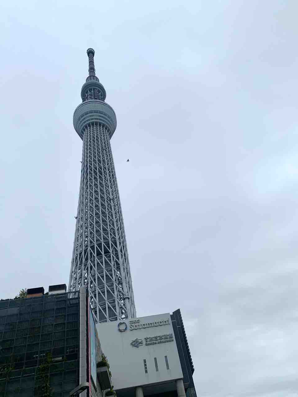 水陸両用バススカイダックに乗りました ベンガル猫のbenelliとアビシニアンのbenjaminと家族の記録