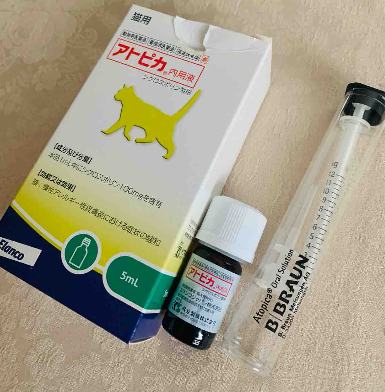 免疫抑制剤を始めました : ベンガル猫のBenelliとアビシニアンの