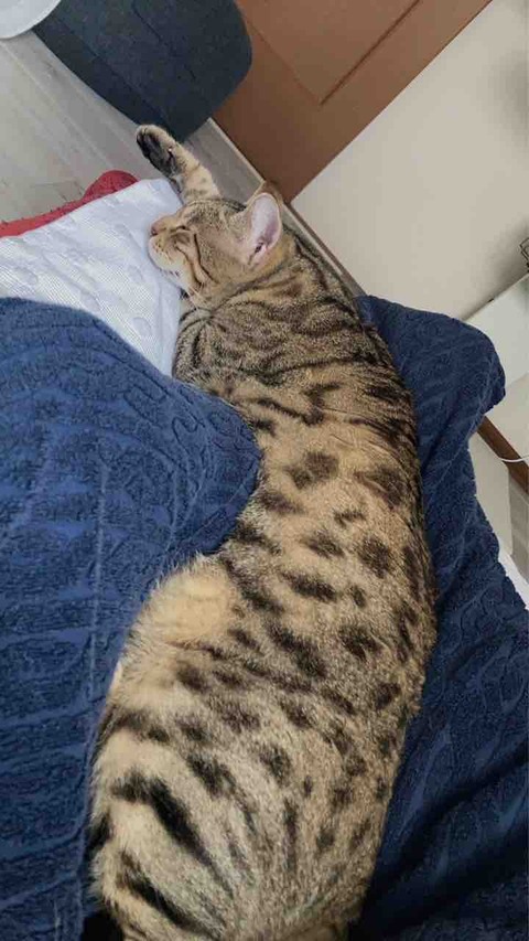 FullSizeRender