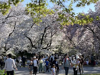 s-!cid_18ebb6533bfaa00e6681