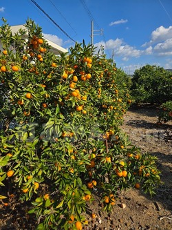 2025_1116_1008_06848