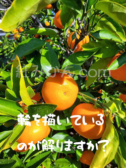 20191114_141936