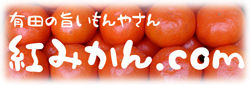 burogu_t