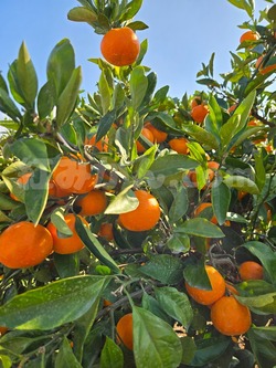 2025_1116_1009_17494