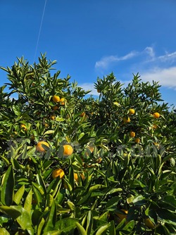 2025_1101_1414_49463