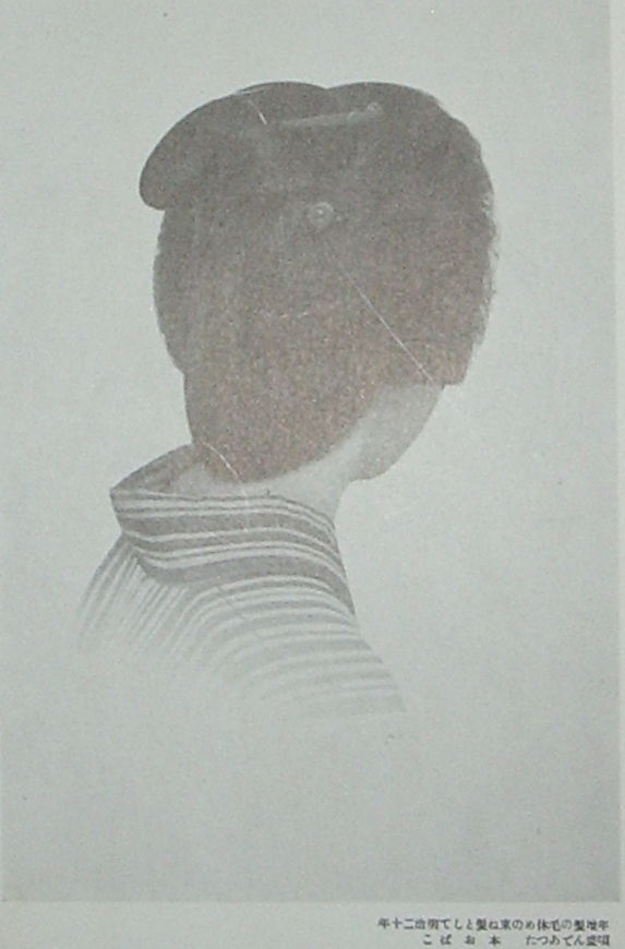 髪結いの手引き書 『江戸屋式秘伝公開 結髪大全』 : 本を見て森を見ず