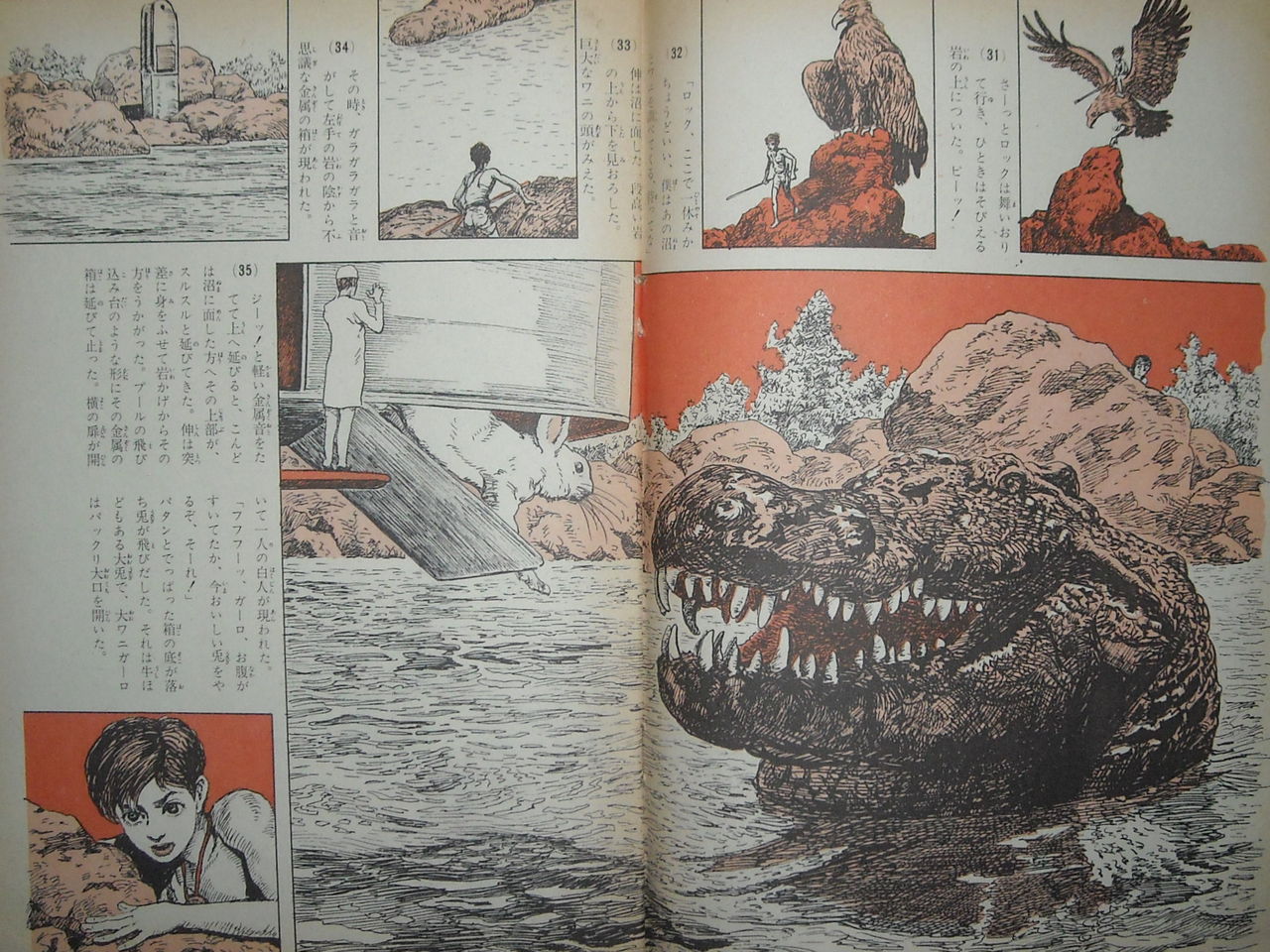 雑誌】 冒険絵物語雑誌 ワイルド 第8号 : 本を見て森を見ず