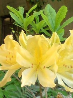 20130427153454.jpg