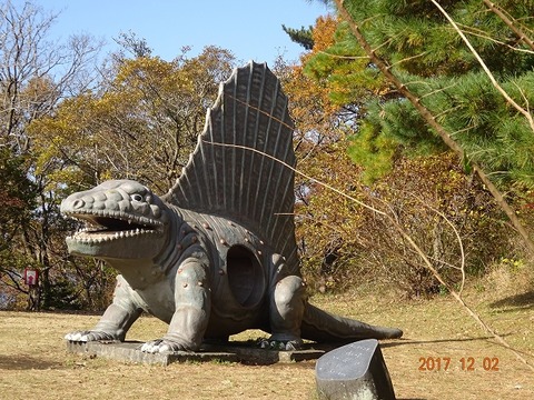 DSC00206