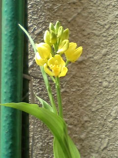 20130428161004.jpg