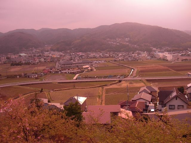 CIMG1631.jpg