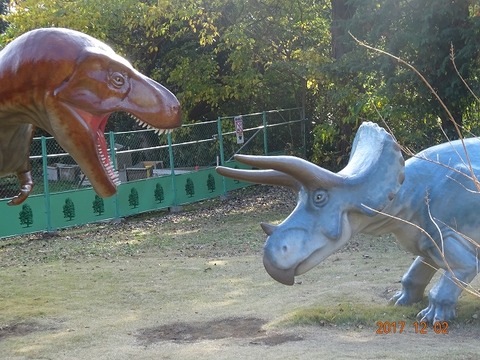 DSC00197
