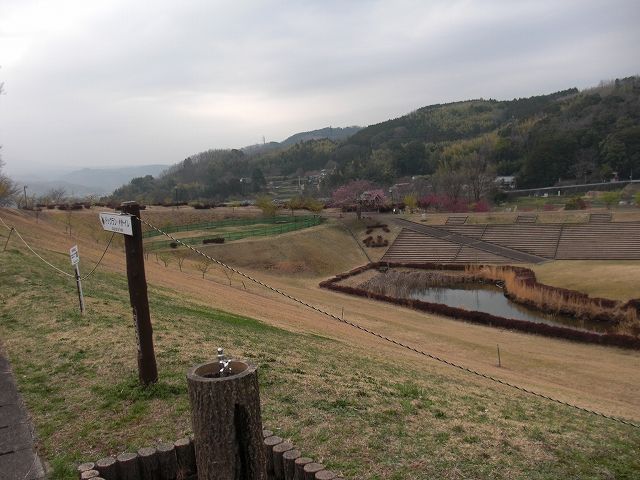 CIMG1622.jpg