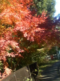 20131121093456.jpg