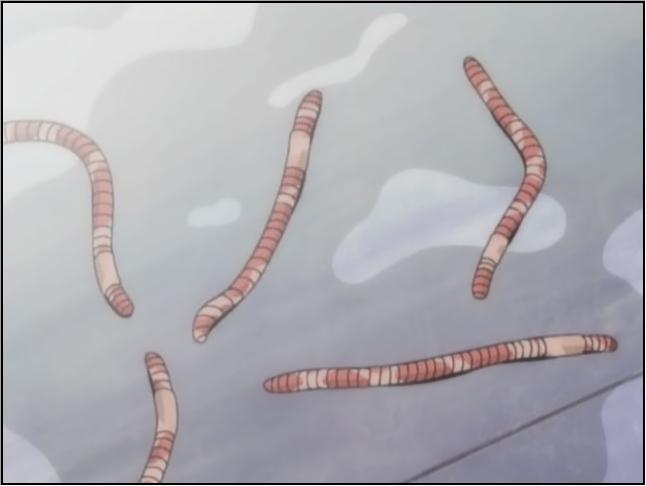 アニメ なるたる Mfmf Benjosanのブログ