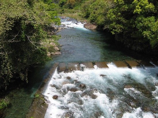 10年04月 Mのくに からコンニチワ