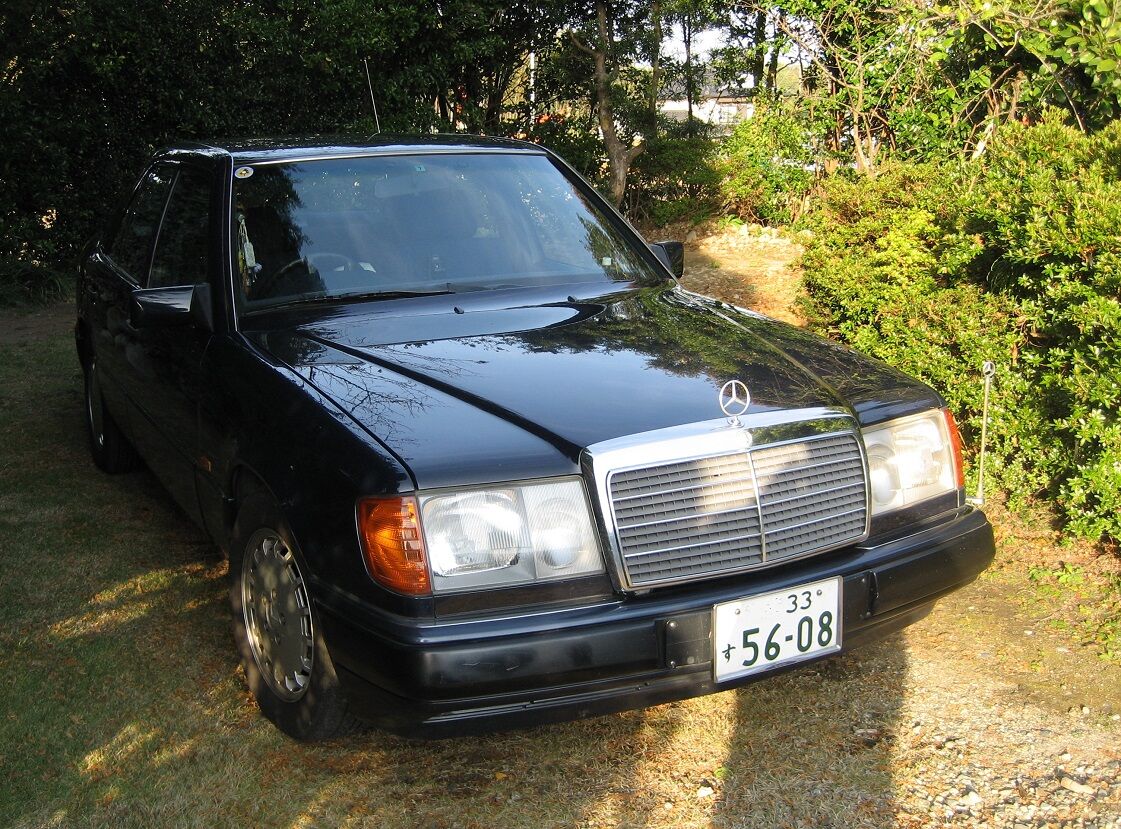 年06月 Mのくに からコンニチワ