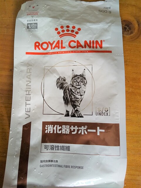 Benkopapaのblog 猫の便秘 Benkopapaのblog 猫の便秘