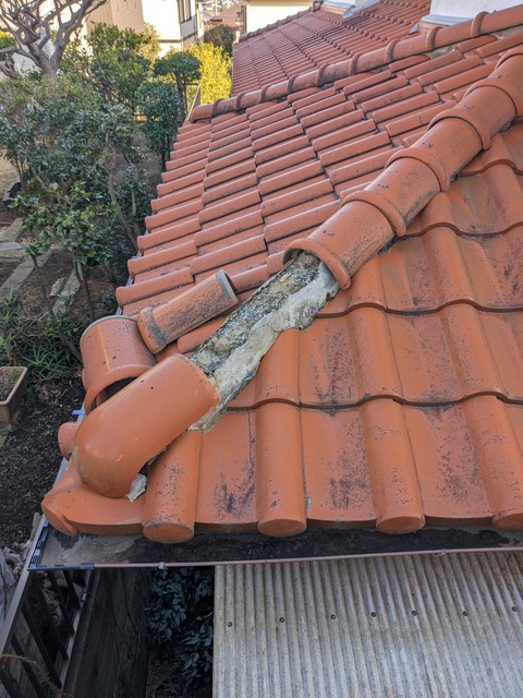 PXL_20230223_064000892