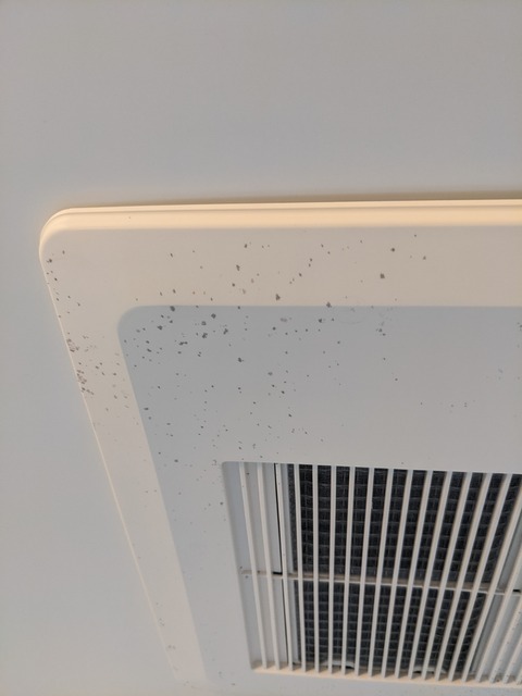 PXL_20221010_010422784